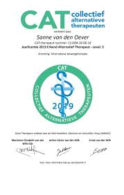 alternatieve therapeut