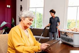 huishoudelijke hulp via wmo